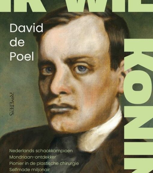 Tzum Recensie David De Poel Ik Wil Koning Zijn Tzum